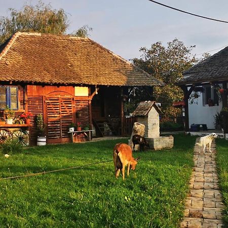 Etno Domacinstvo Miris Bosiljka Apartamento Mislodin Exterior foto