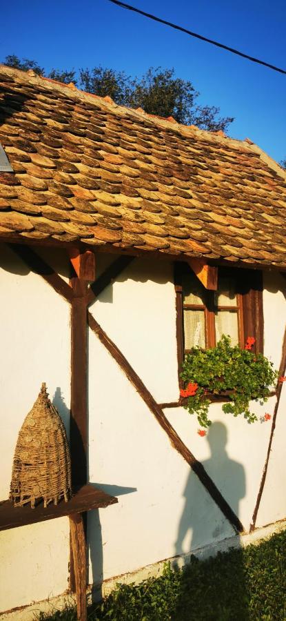Etno Domacinstvo Miris Bosiljka Apartamento Mislodin Exterior foto