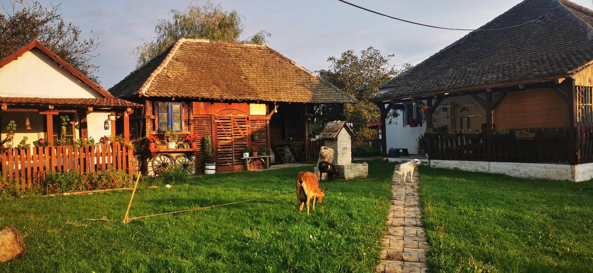 Etno Domacinstvo Miris Bosiljka Apartamento Mislodin Exterior foto